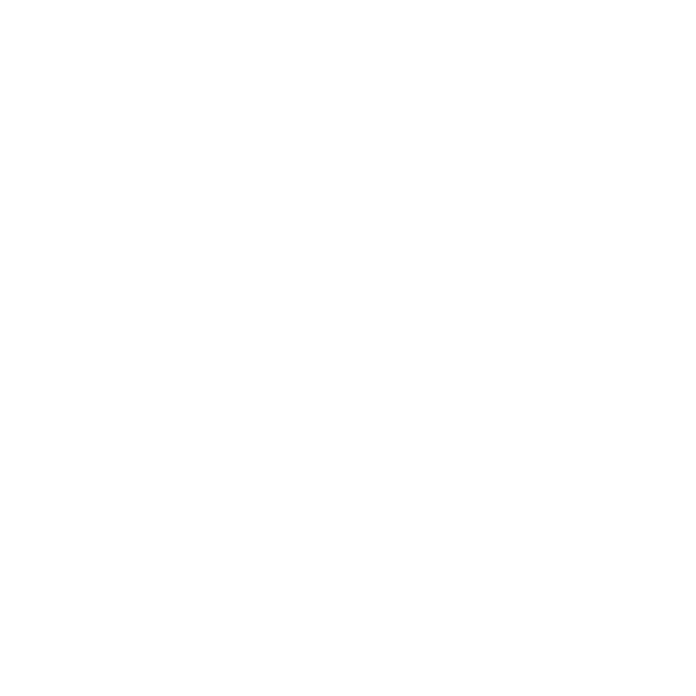 Bono Internacional 100 Minutos